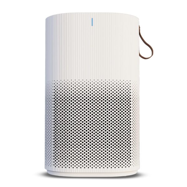 High-Performance Air Purifier